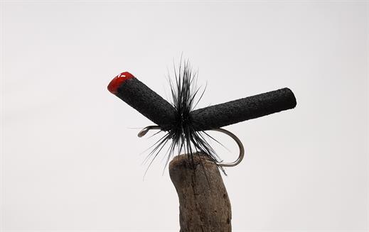 McMurray's Ant